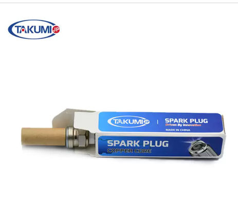 MWM TCG 3016을 위한 S-R6A19 프리챔버 산업적 점화전 12453566 12344841