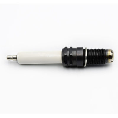 시멘스 SGE-56HM SGE-56SM 엔진용 CH4 발전소 스파크 플러그 R6GC1-77S