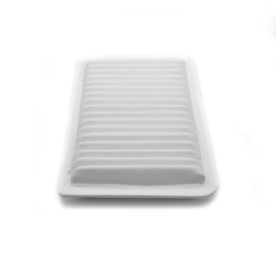토요타를 위한 OEM 표준 크기 차 공기 정화 필터 17801-20040